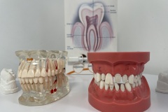 cabinet-stomatologic-optimum-dent-tg-frumos-10