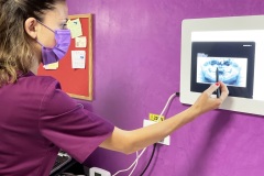 cabinet-stomatologic-optimum-dent-tg-frumos-17